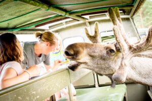 Moosepark